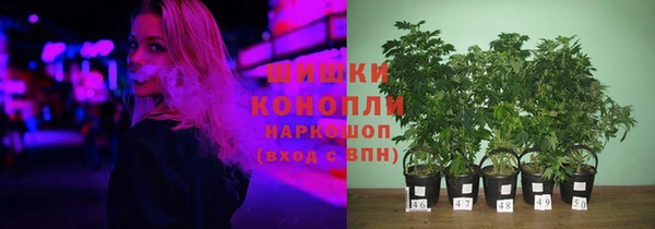 спиды Арсеньев
