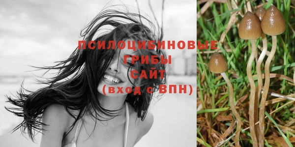 спиды Арсеньев