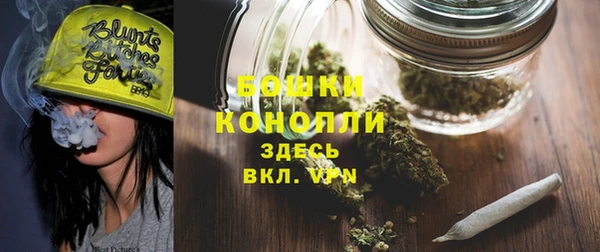 PSILOCYBIN Аркадак