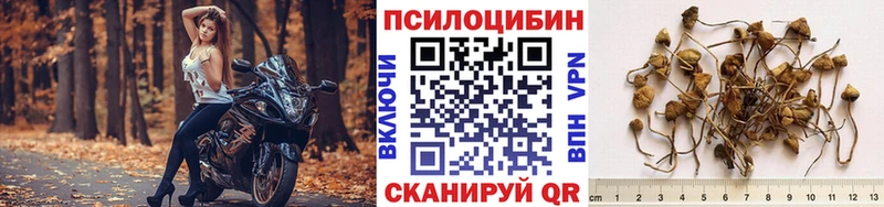 Псилоцибиновые грибы Magic Shrooms  даркнет как зайти  Слободской 